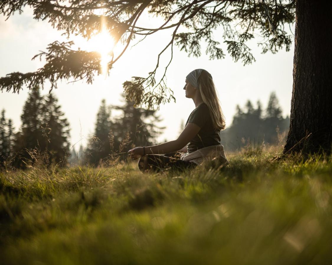 Hotel Natura Rogla Екстериор снимка