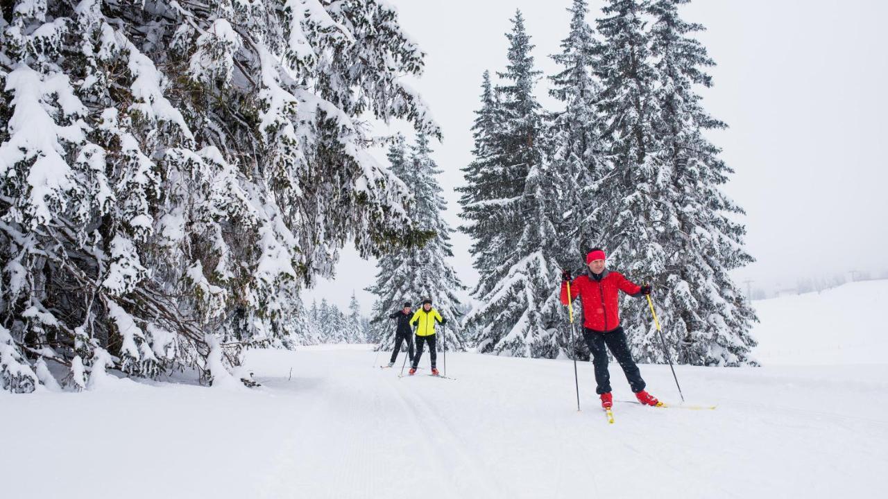 Hotel Natura Rogla Екстериор снимка